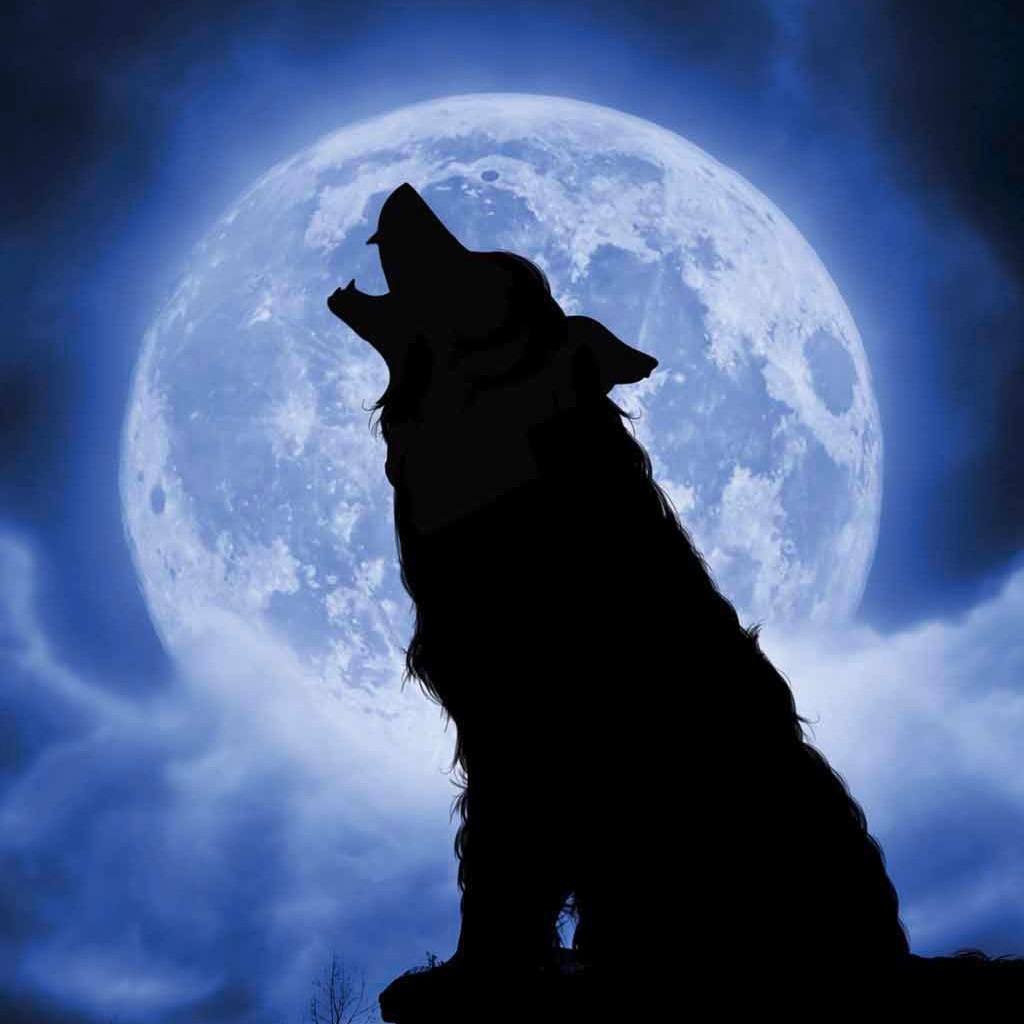 nacht